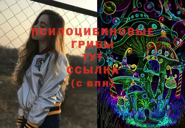 прущая мука Нея