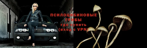 прущая мука Нея