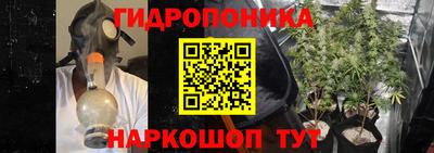 дмт Балахна