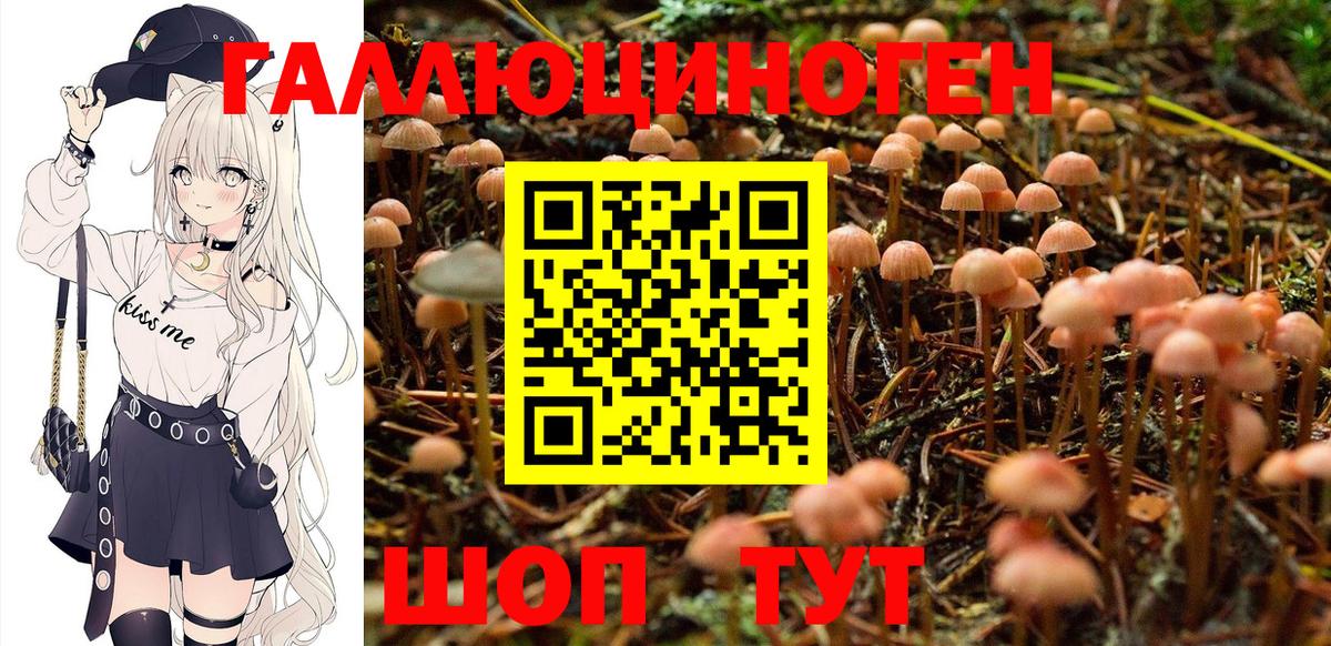 Галлюциногенные грибы Psilocybine cubensis  купить   Псилоцибиновые грибы Magic Shrooms  Коркино 