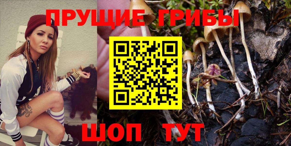 Галлюциногенные грибы Psilocybe  Галлюциногенные грибы Psilocybine cubensis  Коркино  Вход с VPN 